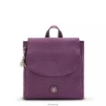 Kipling V4X2B394 neskončna sliva mali nahrbtnik dannie ženske modni nahrbtniki